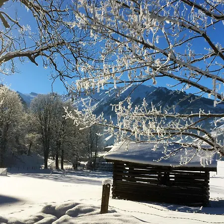 Johannahof Apartment Kaprun